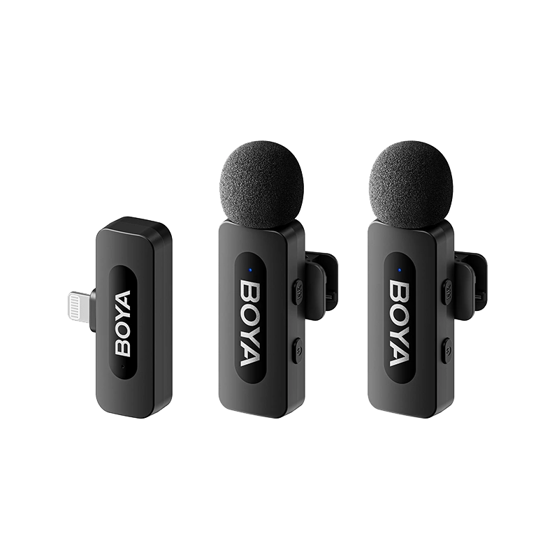 Dual Mic
